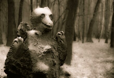 Free stock photo of bear, creepy, forest photo