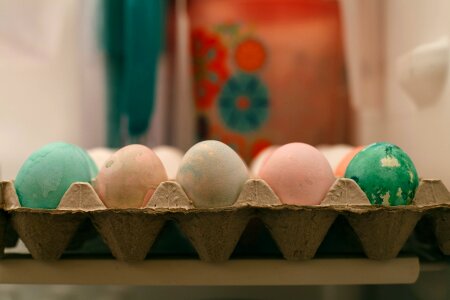 Free stock photo of easter, eggs, fridge photo