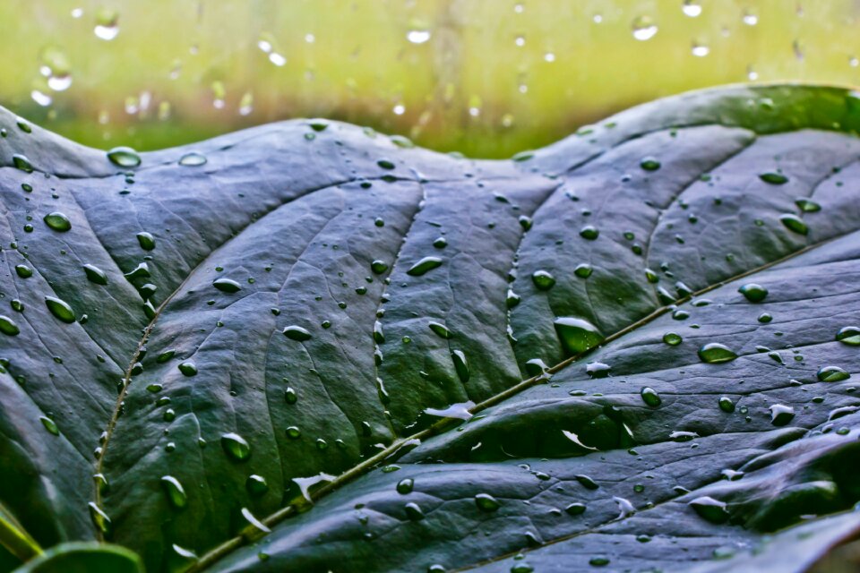 Free stock photo from Tookapic