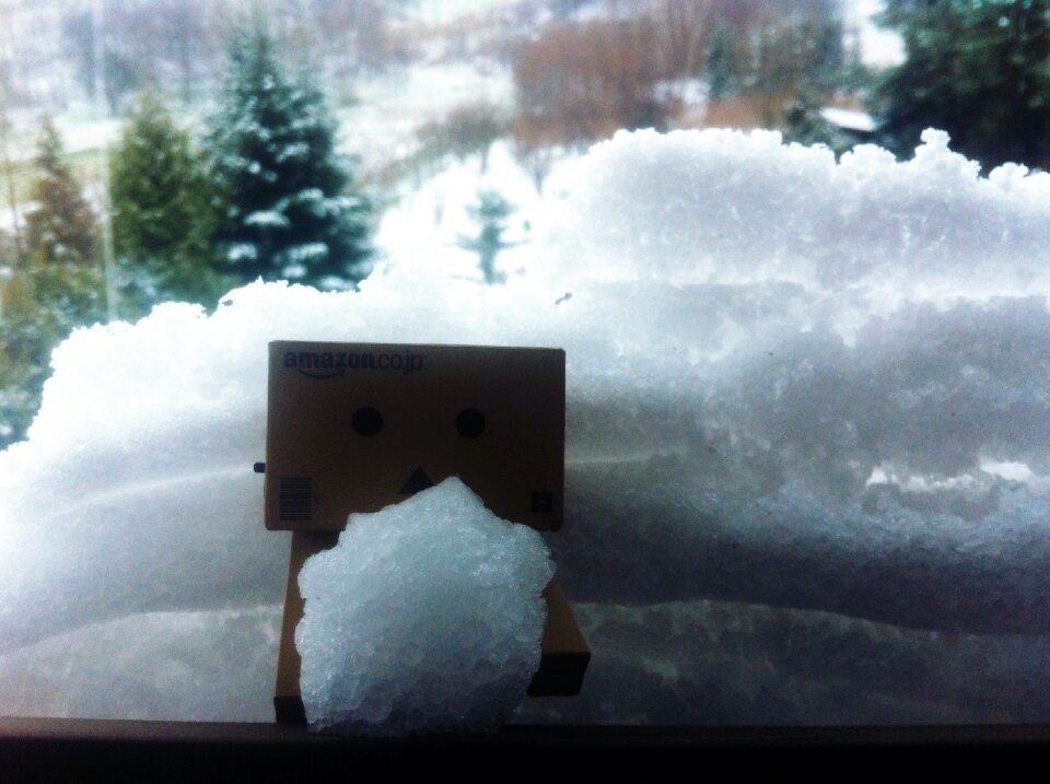 Free stock photo of danbo, danboard, easter