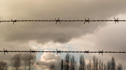 Free stock photo from Tookapic