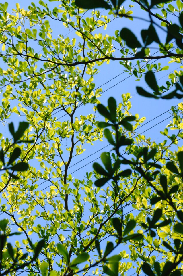 Free stock photo from Tookapic
