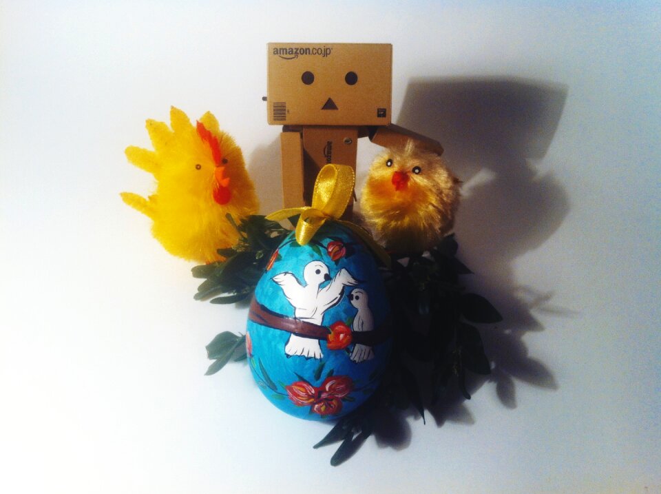 Free stock photo of boxwood, chicken, danbo