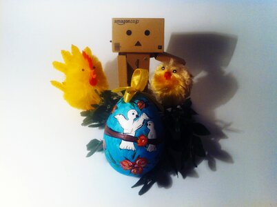 Free stock photo of boxwood, chicken, danbo