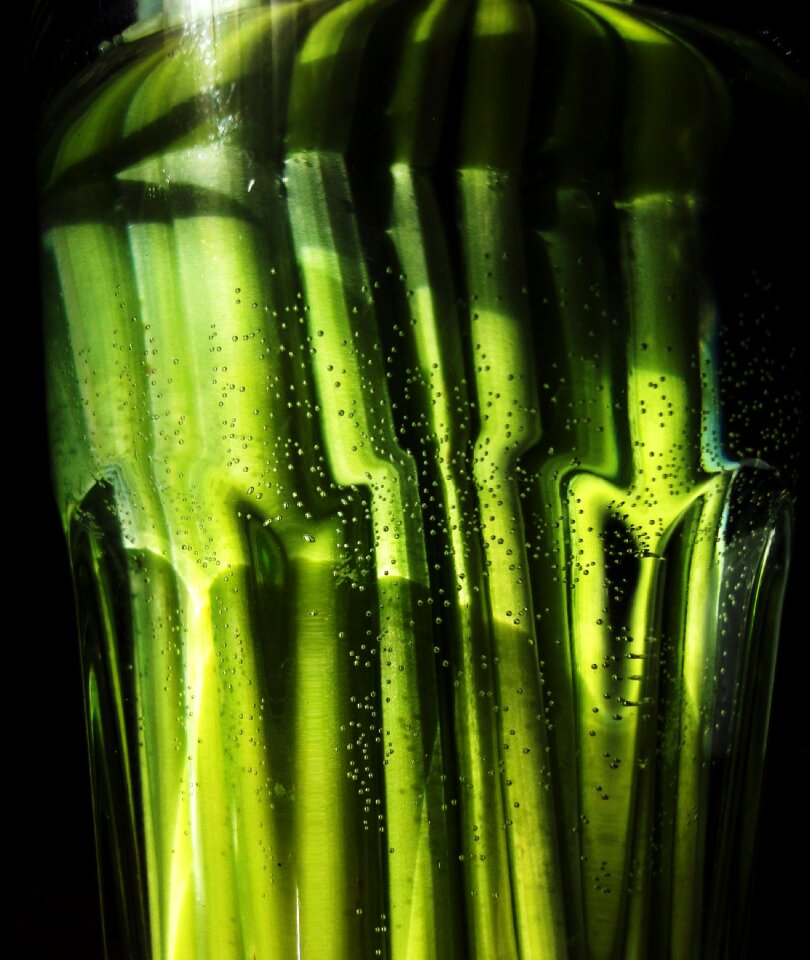 Free stock photo of glass, green