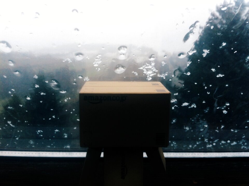 Free stock photo of danbo, danboard, easter