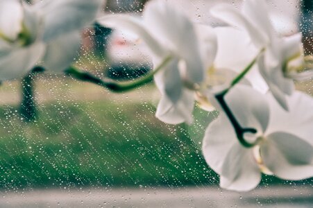 Free stock photo from Tookapic