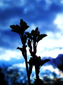 Free stock photo of blue, couple, sky
