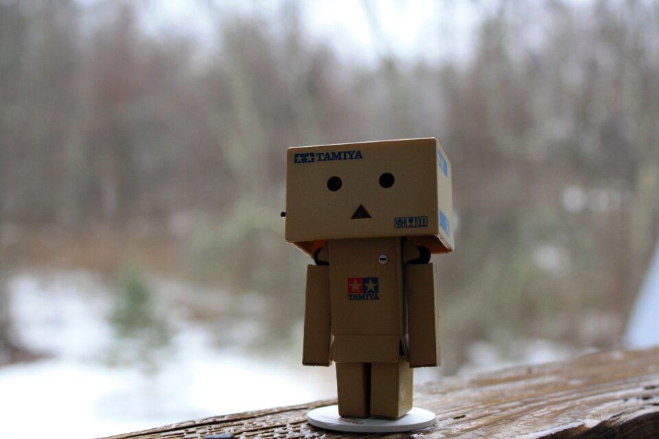 Free stock photo from Tookapic