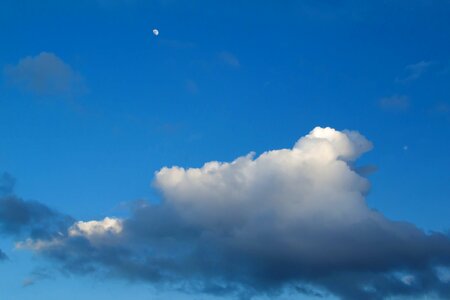 Free stock photo from Tookapic
