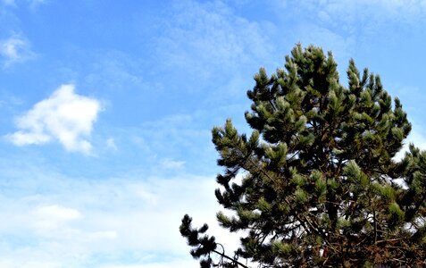 Free stock photo from Tookapic