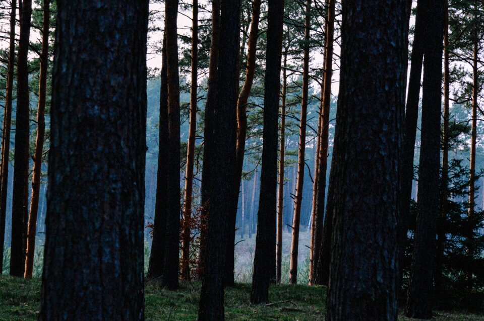 Free stock photo from Tookapic
