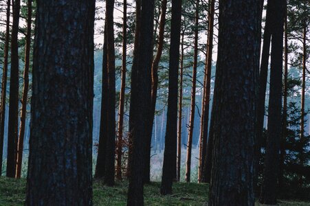 Free stock photo from Tookapic