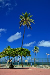 Free stock photo of bahia, brazil, d3100 photo