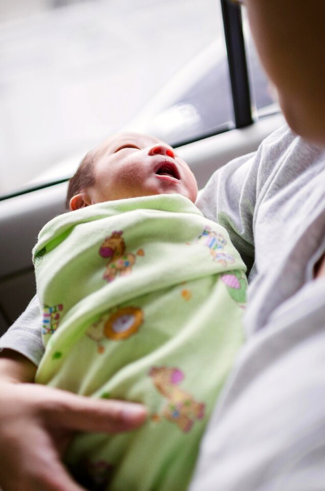 Free stock photo of baby, parent