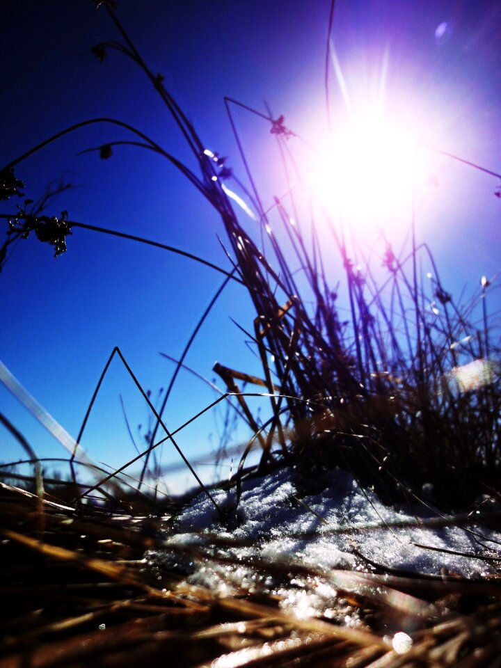 Free stock photo of grass, sky, snow