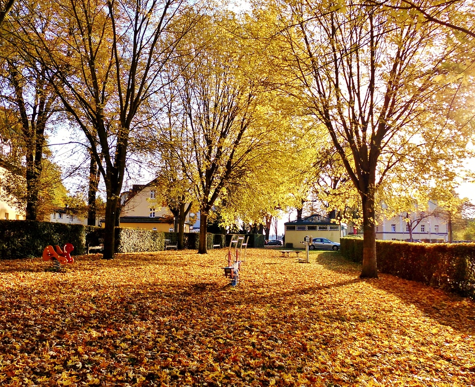 Play golden autumn