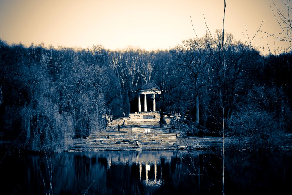 Free stock photo of park