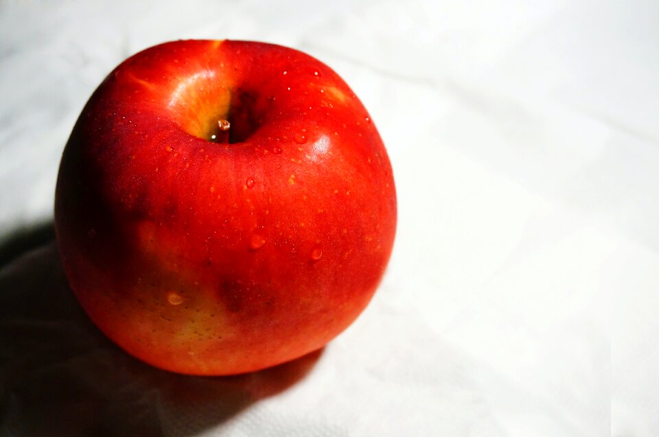 Free stock photo from Tookapic