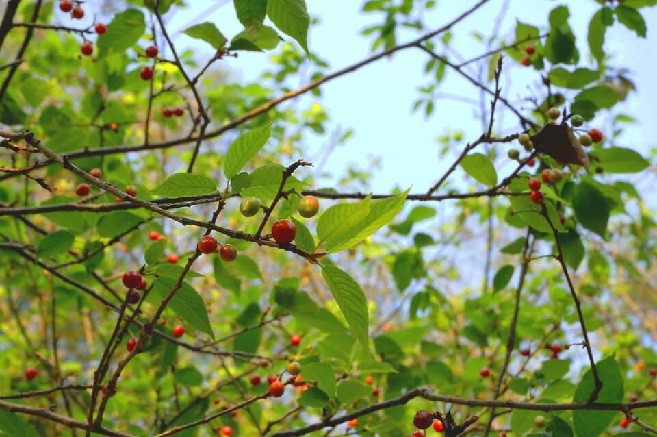 Free stock photo from Tookapic