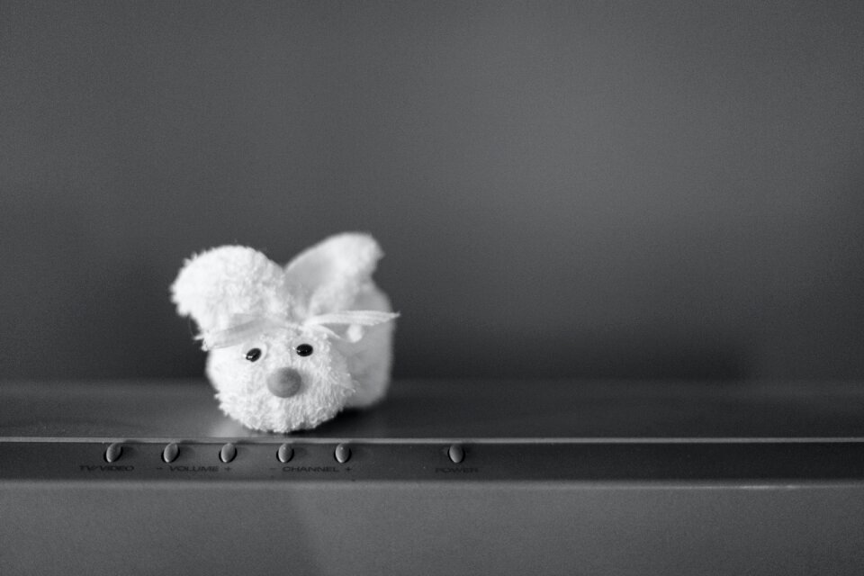Free stock photo of bunny, rabbit, toy
