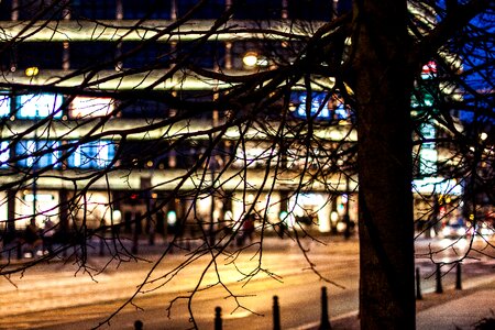 Free stock photo of blurred, city, tree photo