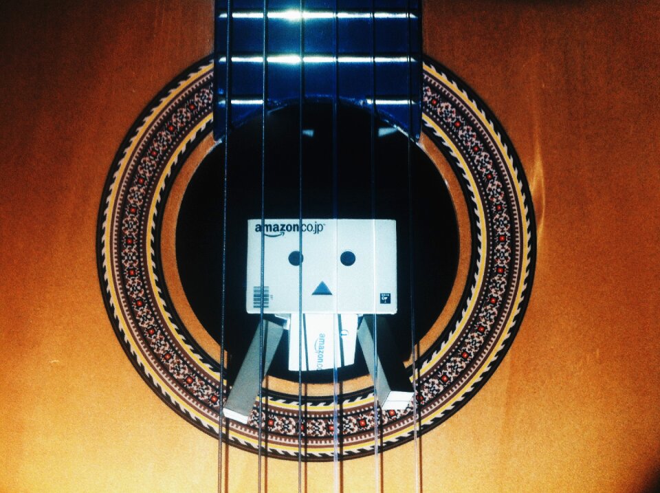 Free stock photo of danbo, danboard, guitar
