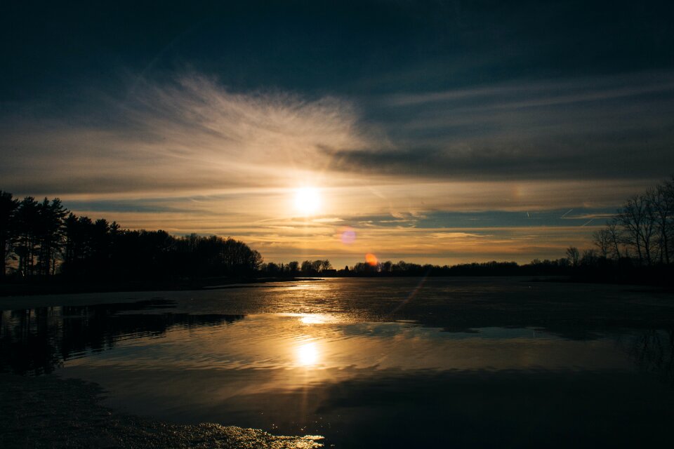 Free stock photo of contrast, golden, nature