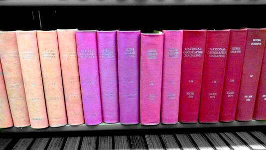 Free stock photo of books, color splash, library