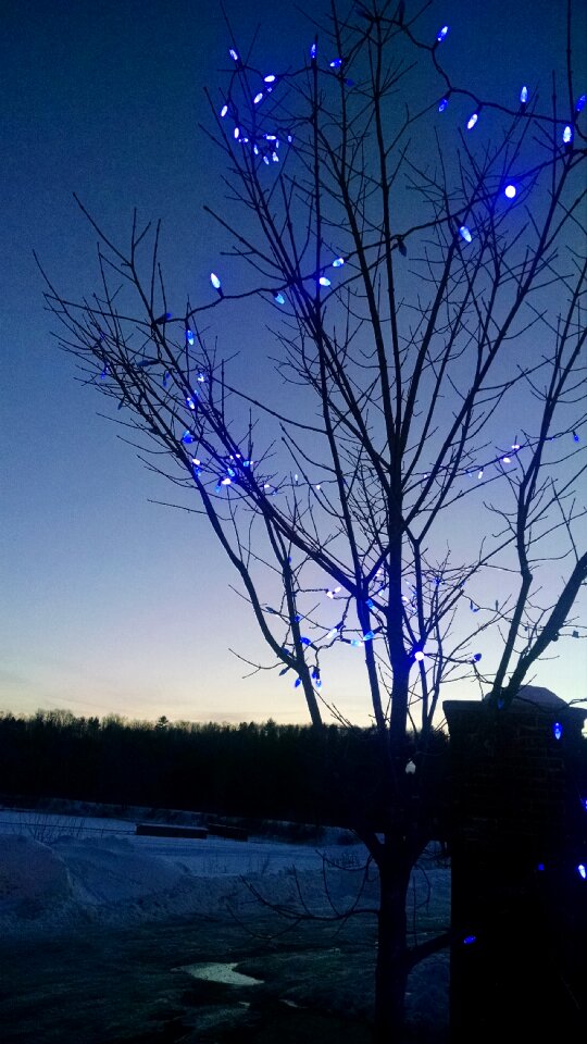 Free stock photo of blue, light, sky