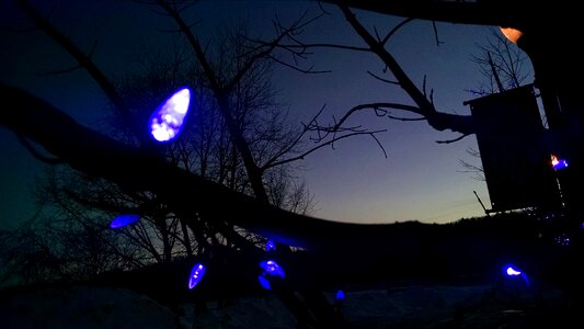 Free stock photo of blue, lights, sunset
