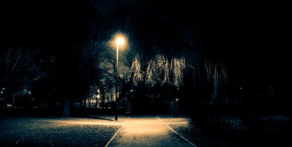 Free stock photo of night, park