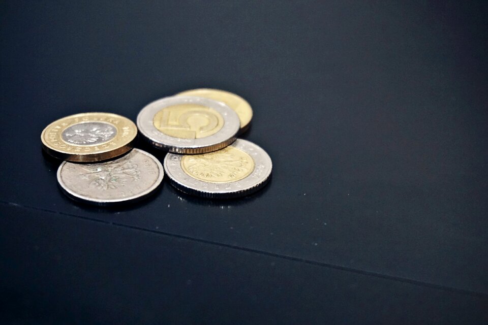 Free stock photo of money, pln