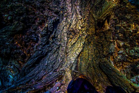 Free stock photo from Tookapic