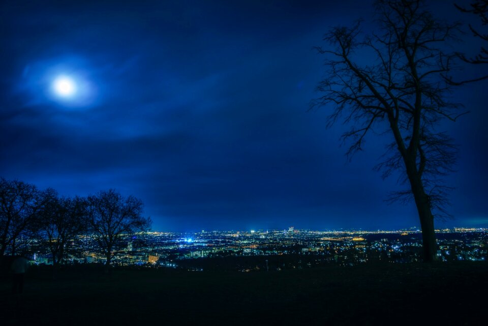 Free stock photo of austria, vienna
