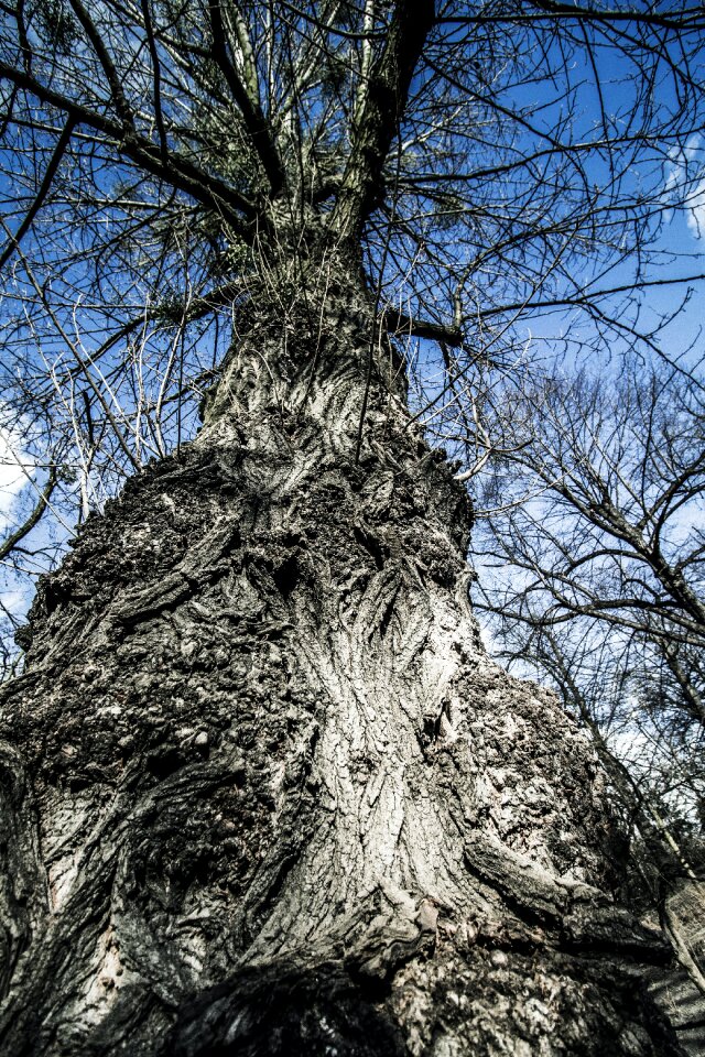 Free stock photo from Tookapic