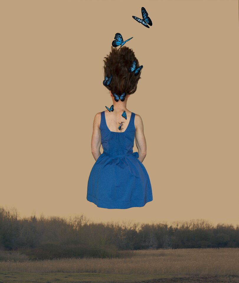 Free stock photo of butterflies, night, selfie