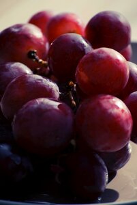 Free stock photo of food, grapes photo