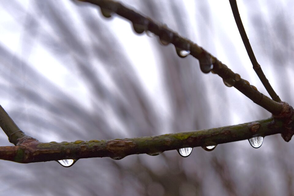 Free stock photo of drizzle, drops, night