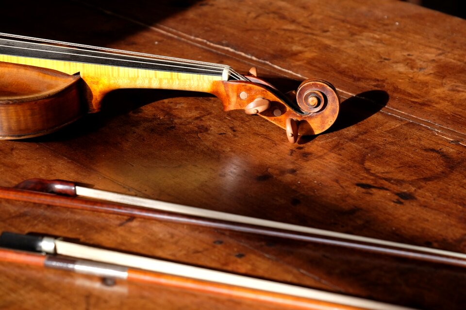 Free stock photo of violin