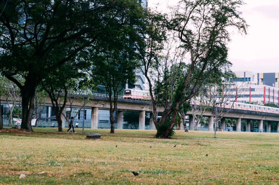 Free stock photo of mrt, street, train