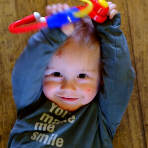 Free stock photo of kees