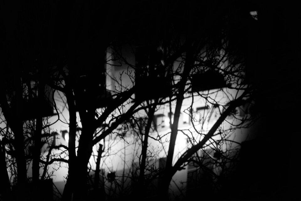 Free stock photo of night
