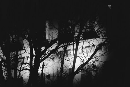 Free stock photo of night