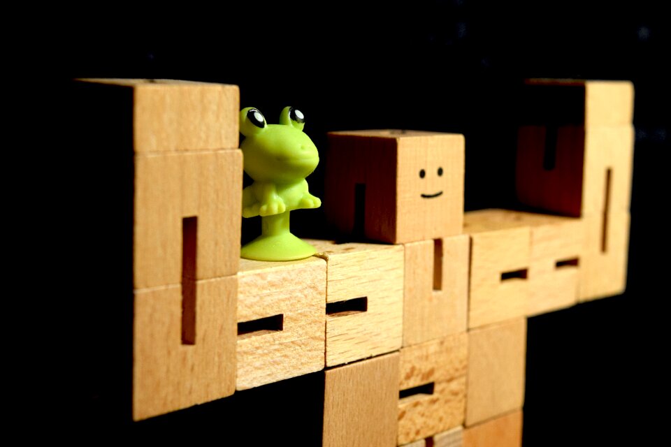 Free stock photo of frog