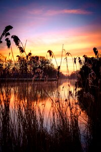 Free stock photo of dawn, dusk, grass photo