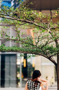 Free stock photo of blur, girl, tree photo