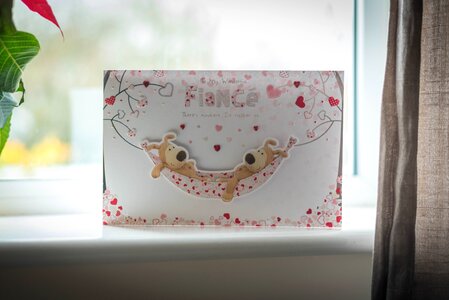 Free stock photo from Tookapic