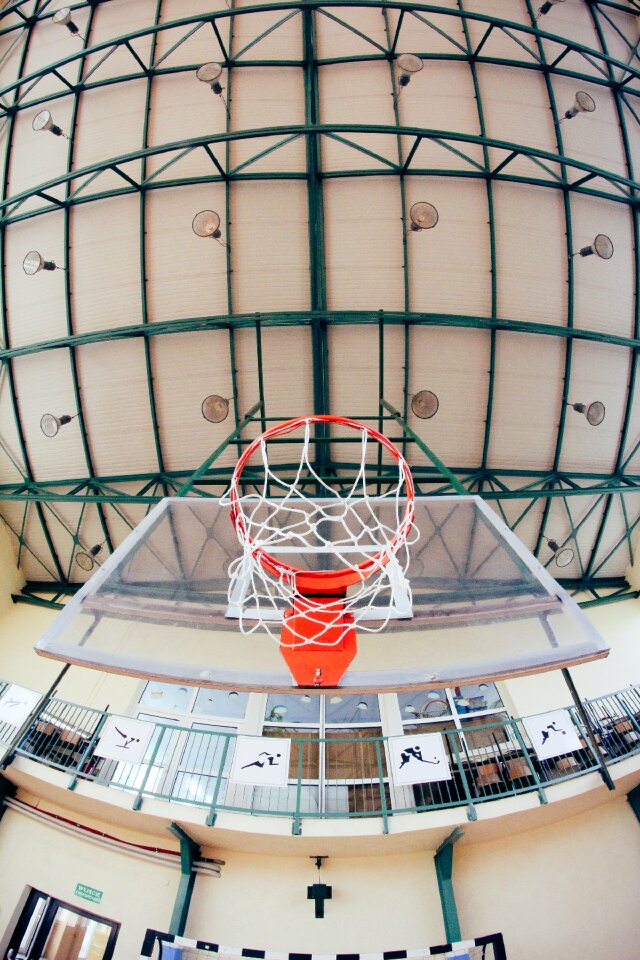 Free stock photo of basketball, shield