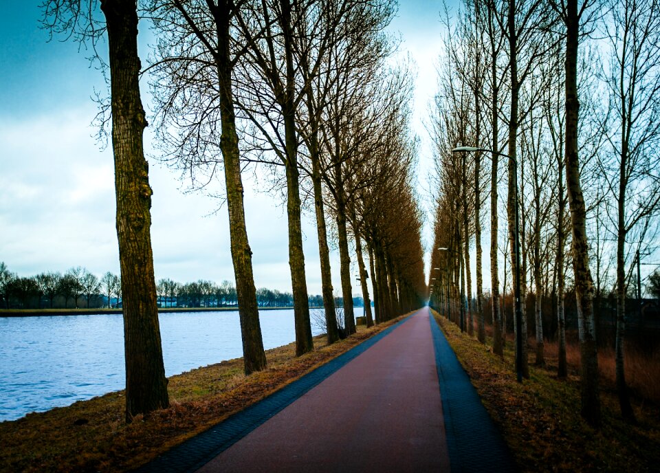 Free stock photo of lake, outdoors, park